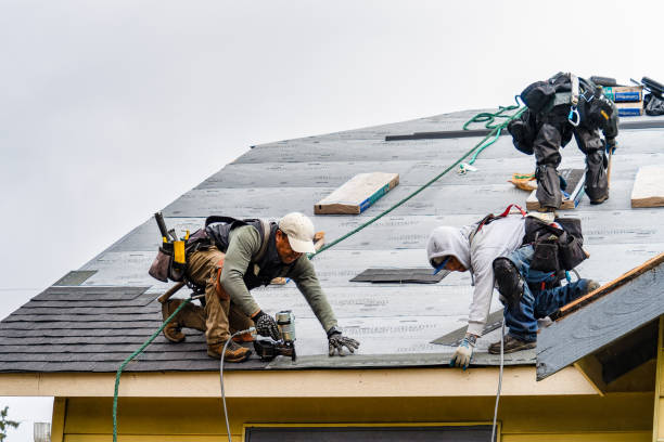 Professional Emergency Roof Repair technician working in Albion, NY